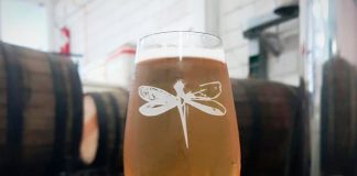 Cerveja: como degustar essa bebida “adorada” por portugueses e brasileiros?