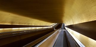 Psicólogos luso-brasileiros destacam “fator psicológico” nas empresas num mundo pós-pandemia