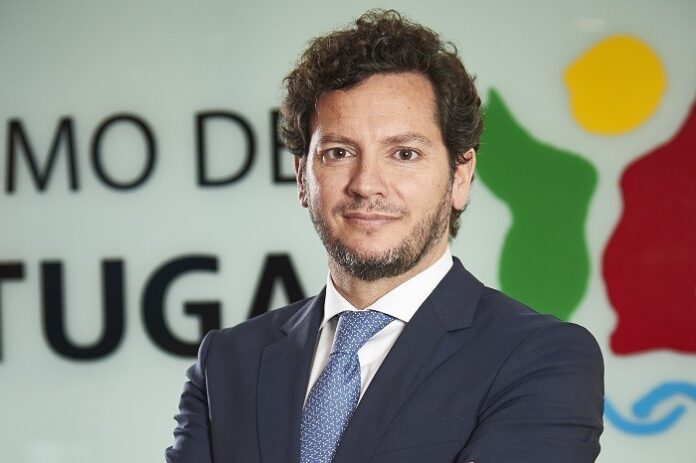 luis araujo