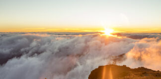 O que o Brasil e a Ilha da Madeira têm em comum?