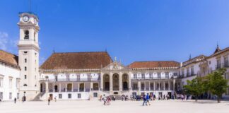 Universidade de Coimbra é a instituição mais sustentável em Portugal e a 21ª do mundo A Universidade de Coimbra é a terceira melhor do mundo no alcance do Objetivo de Desenvolvimento Sustentável n.º 2, que ambiciona a erradicação da fome