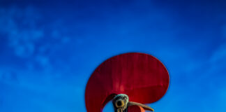 Galo de Barcelos distinguido pelo Prémio Cinco Estrelas Regiões