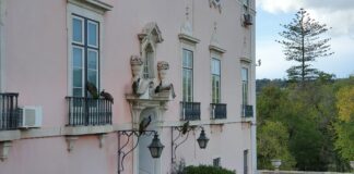 PSD e PS elegem deputados pelos círculos da emigração