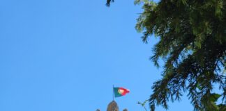 Sindicato cancela “aviso prévio de greve” dos funcionários da rede consular portuguesa no Brasil