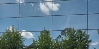 “Missão Piloto” mostrou ao Brasil as potencialidades do Agronegócio na região das Beiras