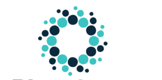 Opinião: “Lei de apoio aos meios de comunicação da diáspora aprovado pelo Governo não corresponde à realidade do terreno”