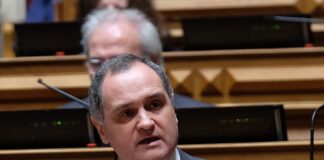 Paulo Pisco reeleito presidente da subcomissão das diásporas