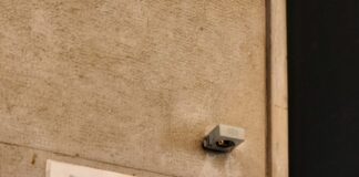 Mais de 114 mil pedidos de Autorização de Residência CPLP