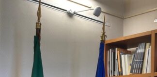 Ana Fernandes assume Camões, I.P.