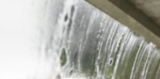 Presidente da Academia Portuguesa de Fibromialgia sublinha que a “compreensão” da doença é fundamental para o tratamento adequado