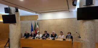 Eleições para o Conselho das Comunidades Portuguesas serão este mês