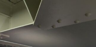 PNAID 2023: Diáspora portuguesa será tema principal em Viana do Castelo