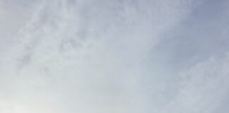 Programa da TAP em parceria com o Turismo de Portugal já transportou mais de 83 mil passageiros do brasil para a europa