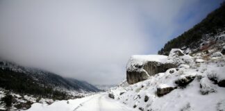 Serra da Estrela: Gastronomia e neve são dois dos segredos do Restaurante “A Torre”