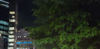 Brasil: Câmara Portuguesa de São Paulo promete “facilitar parcerias e negócios” por mais um século