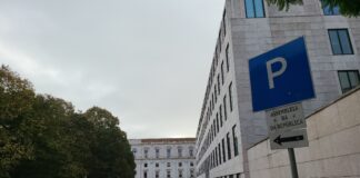 Deputados eleitos pela emigração prometem “comprometimento” com a diáspora