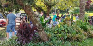 Comunidade portuguesa auxilia a população do Rio Grande do Sul após tragédia climática