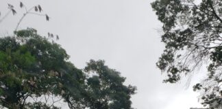 Empresas portuguesas confirmam presença na maior feira da América Latina