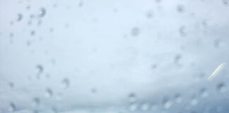 Novo Conselho das Comunidades Portuguesas assume funções em outubro