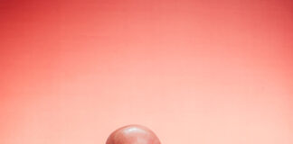 Escritor português, Afonso Cruz esteve em painel sobre “descolonialidade linguística” em festival no Brasil