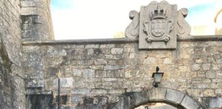 “Eu fortemente desaconselho aqueles que vêm para Portugal com visto de turista para esperar pela sua documentação”, advertiu Sónia Crisóstomo