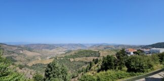 Turismo Porto e Norte de Portugal lança Marketplace de “experiências exclusivas”