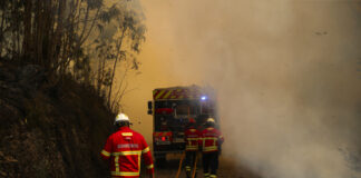 Portugal: incêndios causam mortes, feridos e muita destruição em várias regiões do país
