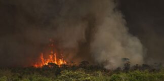 Brasil: Incêndios podem ter afetado mais de 11 milhões de pessoas no país