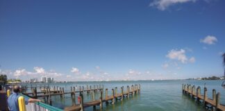 Conheça alguns dos impactos das novas políticas de imigração dos EUA para Portugal e Brasil