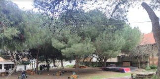 Festival “A arte de ser migrante” em Lisboa