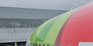 TAP faz acordo com família brasileira para embarque de cão de terapia