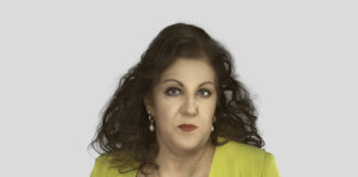 “É urgente redefinir as chamadas áreas consulares”, defendeu Teresa Duarte Soares