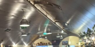 “O movimento associativo português nos países de acolhimento é vital para a preservação da identidade nacional”, destacou Paulo Viana