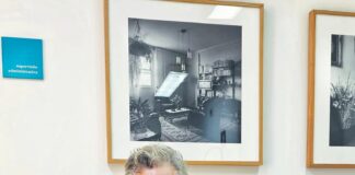 Opinião: “A nossa Língua é a casa de onde nunca saímos”, por José Manuel Diogo