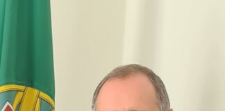 Opinião: “Portugal e a Diáspora: um só mundo”, por Paulo Pisco