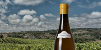 Revista portuguesa especializada atribui pontuação máxima a vinho da “Domínio do Açor”