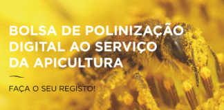 Portugal: Beeland lança Bolsa de Polinização Apícola