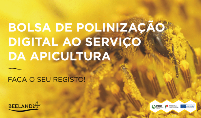 Plataforma já está no ar_ apicultores e agricultores podem se registrar e integrar a rede de polinização. Foto divulgação