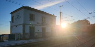 CCRB reelege Ana Correia e anuncia nova equipa de trabalho