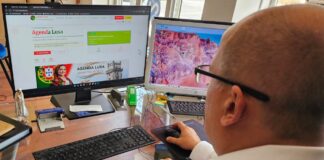 “Agenda Lusa” quer tornar-se “referência” na divulgação do calendário de eventos da cultura portuguesa no mundo