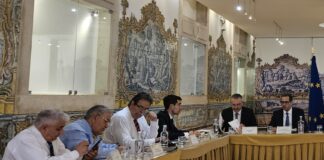 CP-CCP envia recomendações ao Governo sobre anúncio dos apoios à diáspora