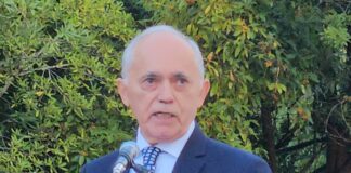 “O mundo precisa ir à Amazónia”, apelou o embaixador do Brasil em Lisboa