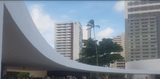 Fliporto Arte 2025 celebra o centenário de Reynaldo Fonseca e promete ser a “maior feira de artes visuais do Nordeste”