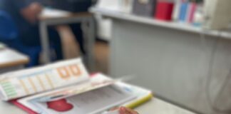 Covilhã: Centenas de crianças estreiam projeto “Cantar e Crescer pela Arte”