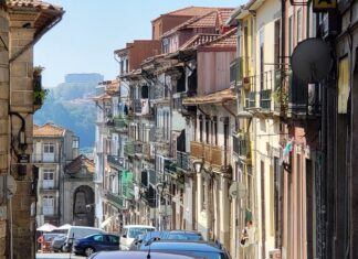 Associação Turística do Porto e Norte de Portugal apresenta “The Big Trend, by Ofelia de Souza”