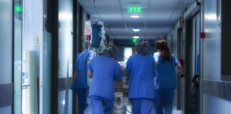 Porto: ULS São João apela à sensibilização para a doação renal em vida durante evento inédito