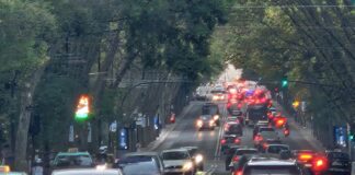 Acordo entre Brasil e Portugal sobre CNH depende de ratificação pelo Brasil