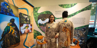 Galeria Visit Brasil promove exposição e programação cultural em Lisboa