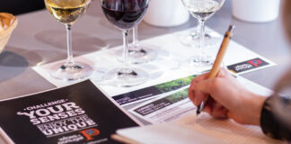 Academia Vinhos de Portugal abre inscrições para edições de 2026 no Brasil