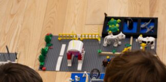 Covilhã: “VOX LUSITANA Associação Cultural” promove workshop LEGO para pais e filhos dedicado às emoções